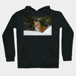 Red Fox Hoodie